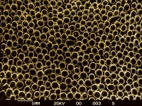 sintered porous Bronze, SEM view